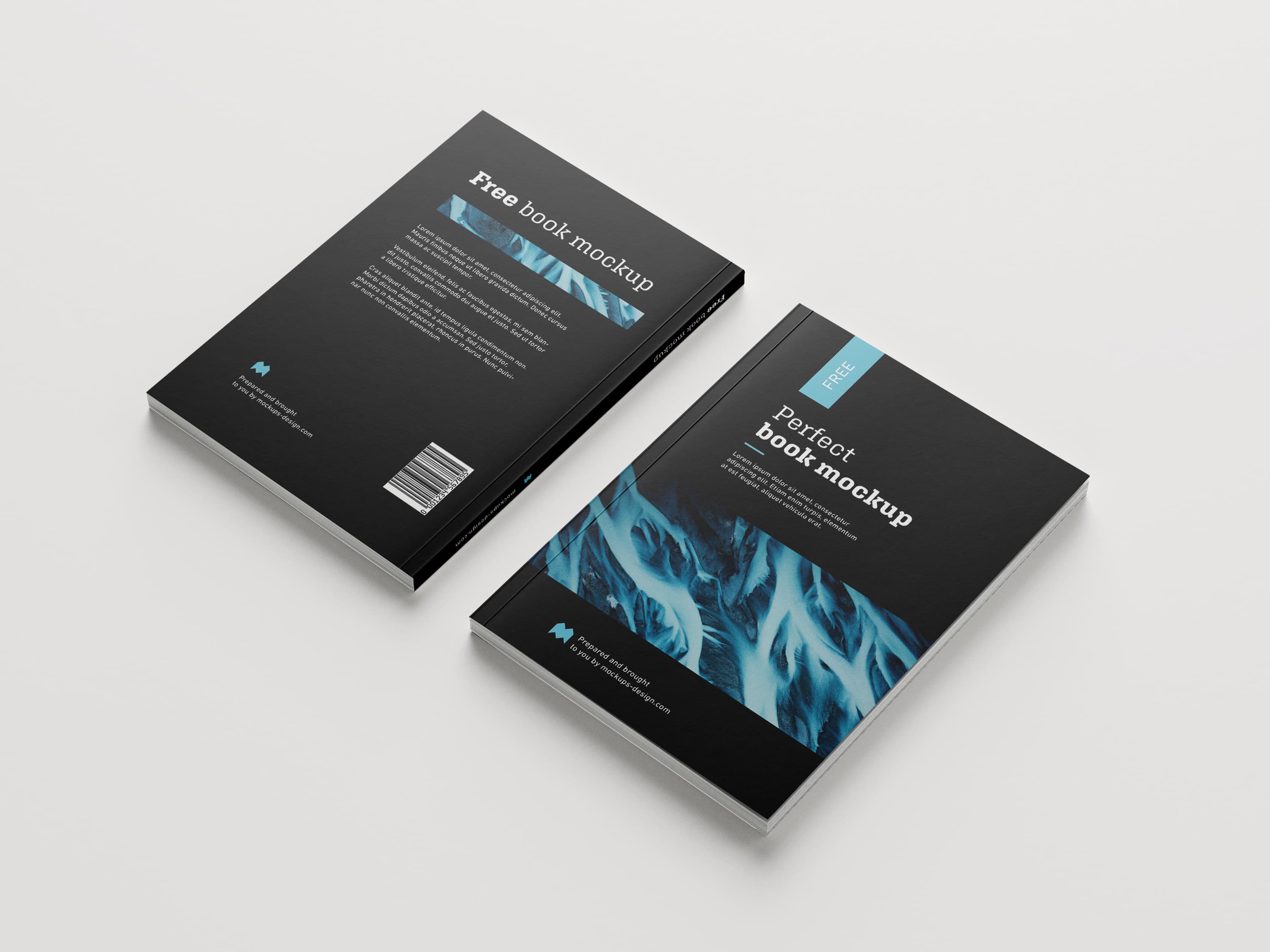 Mise en page Dr.Stone : mockup 1